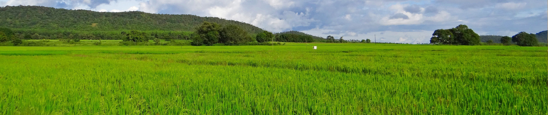 蘇州久富農(nóng)業(yè)機(jī)械有限公司